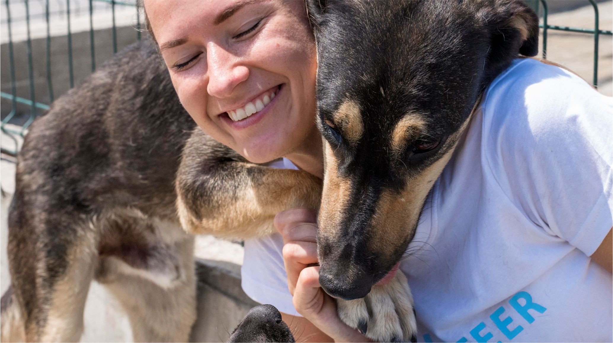 Día del Perro Adoptado: una fecha para celebrar los encuentros que cambian dos vidas