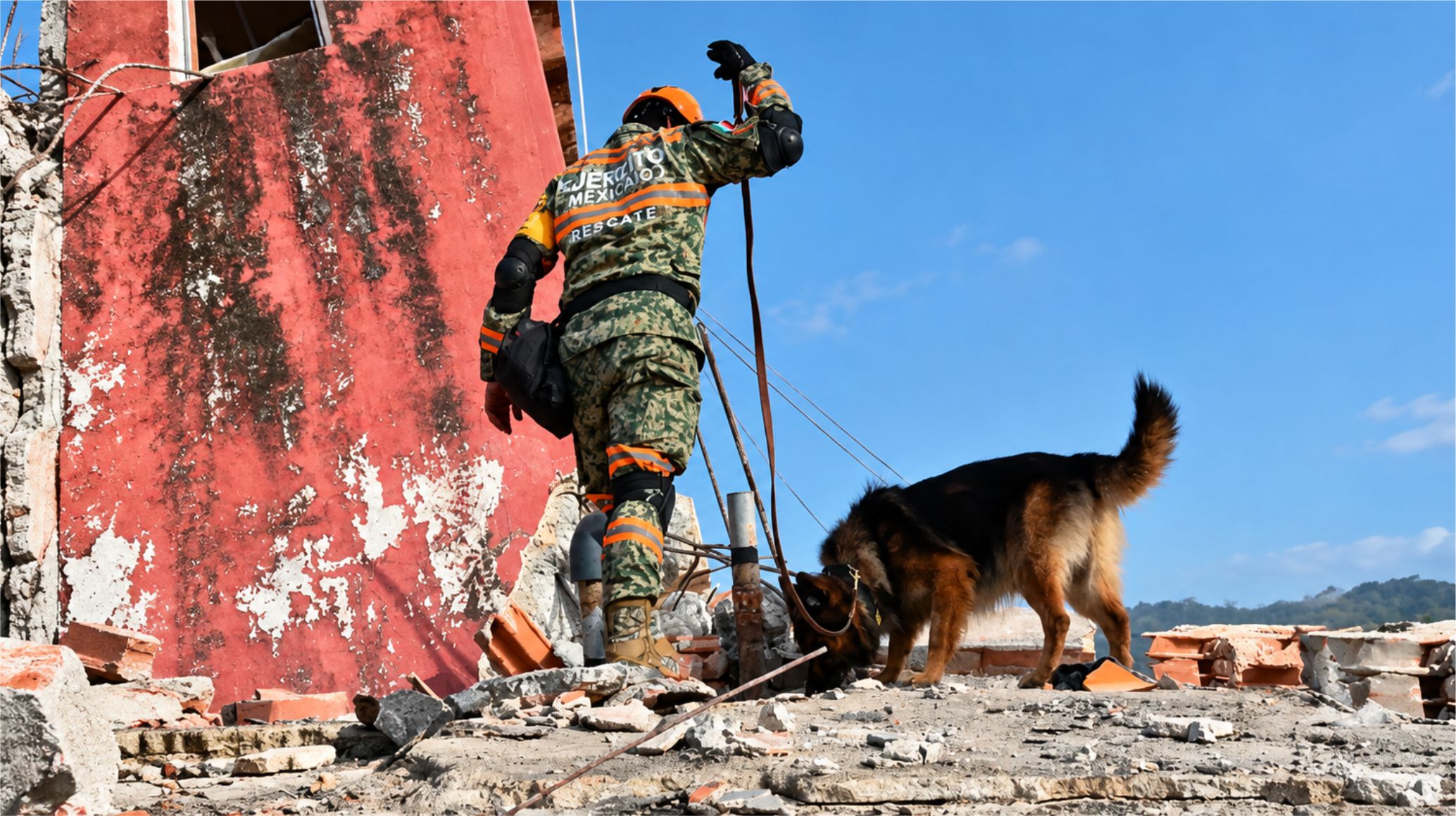 La UTN Córdoba desarrolla un casco para convertir recorridos de perros de rescate en mapas 3D